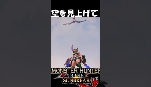 空を見上げていると…　　　　　　　　　【モンハンサンブレイク】【MHR:SB】魅せプ　#shorts