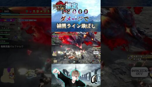 バルファルクに推定１８０００ダメージ！　【モンハンサンブレイク】【MHRS】【モンハンライズ】#shorts #モンハン