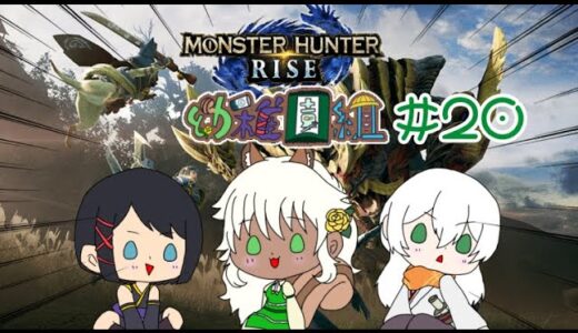 【MONSTER HUNTER RISE】え…！？自分が…ハンター！？#20【モンハンライズ】