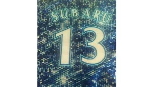 【モンスターハンターライズ】Switch版で作業配信