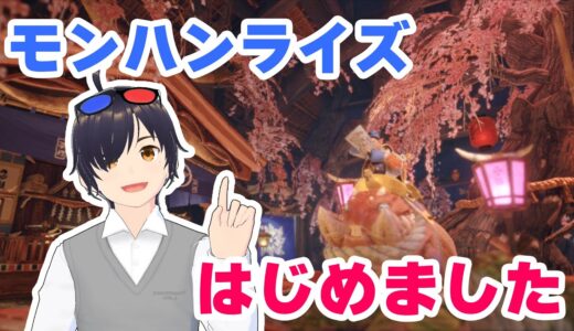 【モンハンライズ（Switch版）】最近始めました！【2025/09/23】