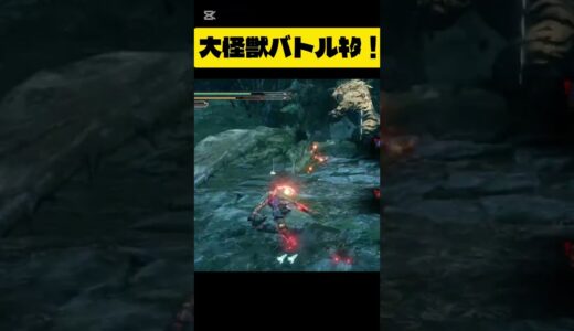 令和の大怪獣バトル#モンハン#ライズ#モンハンライズ #shorts#初心者#楽しい#ゲーム#モンスターハンター