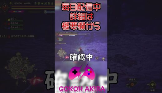 不正は許さないよ？？？【モンスターハンターライズサンブレイク】　#shorts  #shortsvideo  #shortsfeed #モンハン