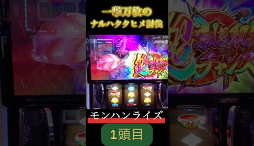 【スマスロ モンハンライズ】一撃万枚へのナルハタタヒメ討伐一頭目　#スマスロ #スマスロモンハンライズ #モンハンライズ