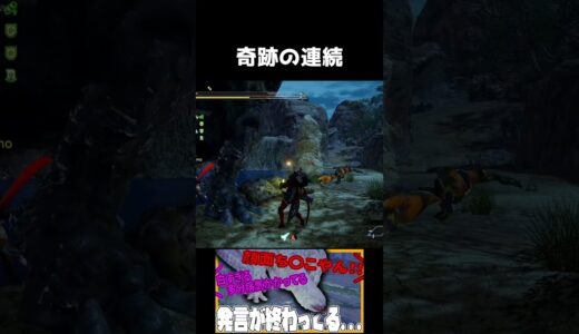 神に愛された男【モンハンライズ】