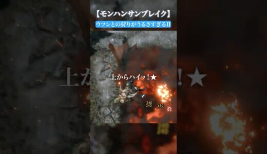 ウツシとの狩猟風景Ⅱ【モンハンサンブレイク】