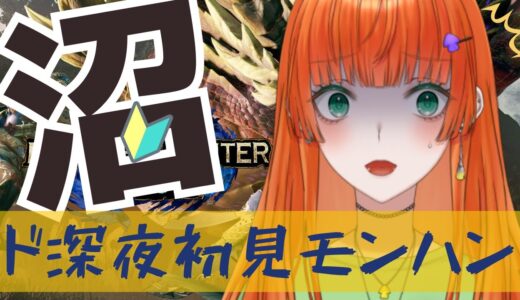 【モンハンライズ】ゆるっと恐竜みたいなやつを一匹倒す～！【ド深夜/初心者モンハン】