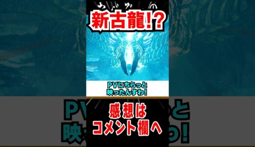 【モンハンワイルズ】謎の新モンスターは古龍なのか飛竜なのか#なべぞー #モンハンワイルズ #解説