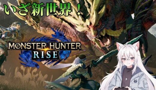 【モンハンライズ】操作になれるところから！！