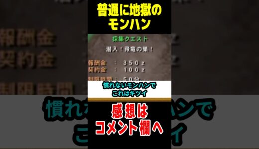 【モンハン】初心者時代にみんなが沼ったあるある3選#なべぞー #モンハン #解説