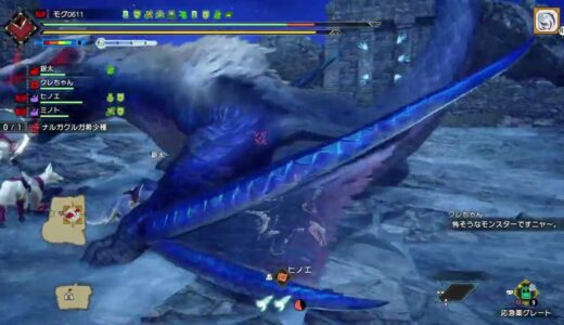 モンスターハンターライズ_ナルガ希少種9:55 大剣