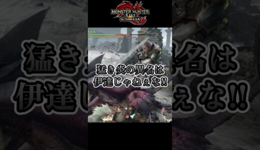 【MHRiseSB】教官同士のエモい掛け合い #モンハン #mhrisesb