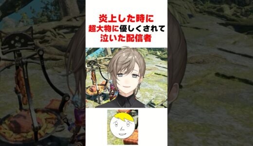 【モンハン】炎上した時にとある大物Vに優しくされて泣いたなべぞー#なべぞー #ゲーム実況