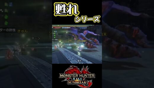 配信切り抜き　　　　　　　　　　#shorts #monsterhunter #モンスターハンターライズサンブレイク  #モンハンライズ #モンハン