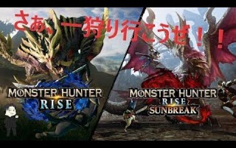 無言入室対策強化中　視聴者参加型　モンハンライズ・サンブレイク 　昼の部　（switch版）