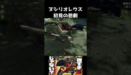 初見でヌシリオレウスに挑むとこうなります【モンハンライズ】