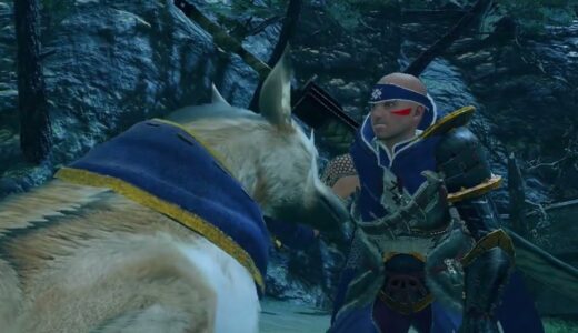 モンハンライズ　村クエ「ナルガクルガ」戦