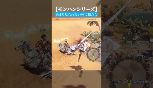 あまり見られない変な乙り方集【モンハン】